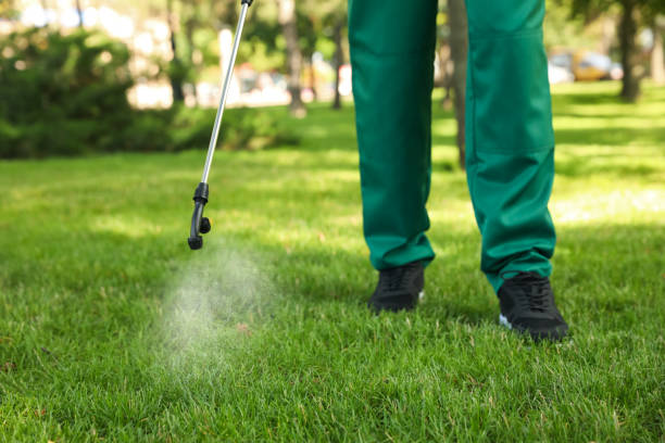 Best Mosquito Control Services  in Moorefield, WV