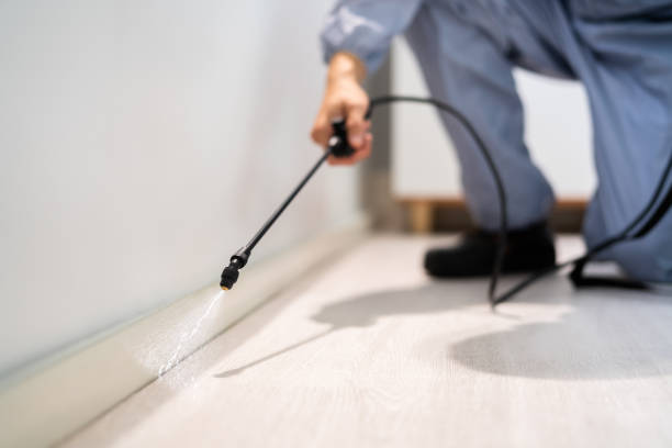 Best Mosquito Control Services  in Moorefield, WV