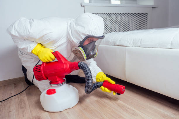 Best Exterminator Services  in Moorefield, WV