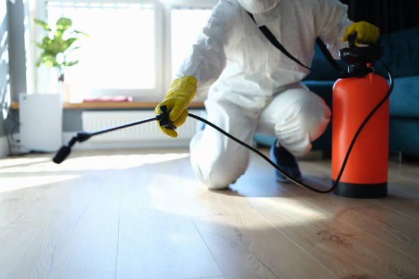 Best Commercial Pest Control Services  in Moorefield, WV
